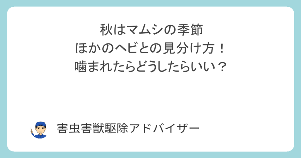 秋はマムシの季節｜ほかのヘビとの見分け方！噛まれたらどうしたらいい？