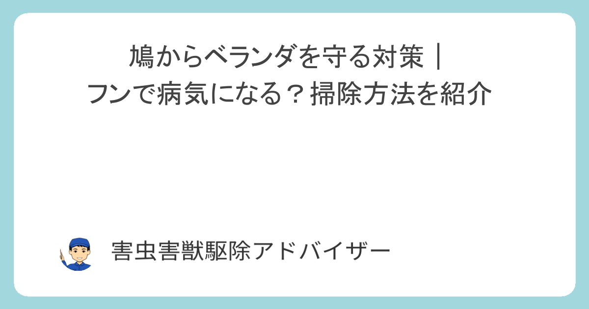 鳩からベランダを守る対策｜フンで病気になる？掃除方法を紹介