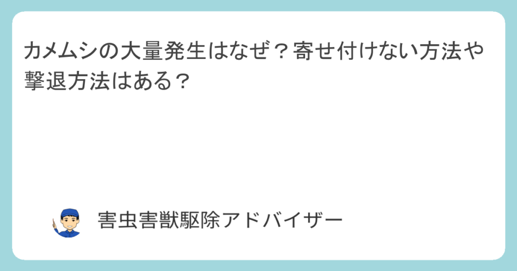 カメムシの大量発生はなぜ？寄せ付けない方法や撃退方法はある？