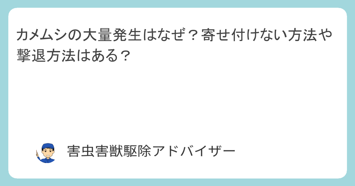 カメムシの大量発生はなぜ？寄せ付けない方法や撃退方法はある？