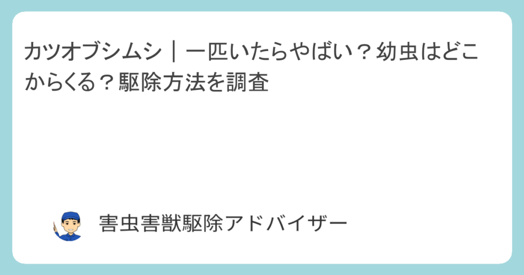 カツオブシムシ｜一匹いたらやばい？幼虫はどこからくる？駆除方法を調査