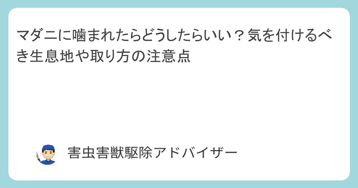 マダニに噛まれたらどうしたらいい？気を付けるべき生息地や取り方の注意点