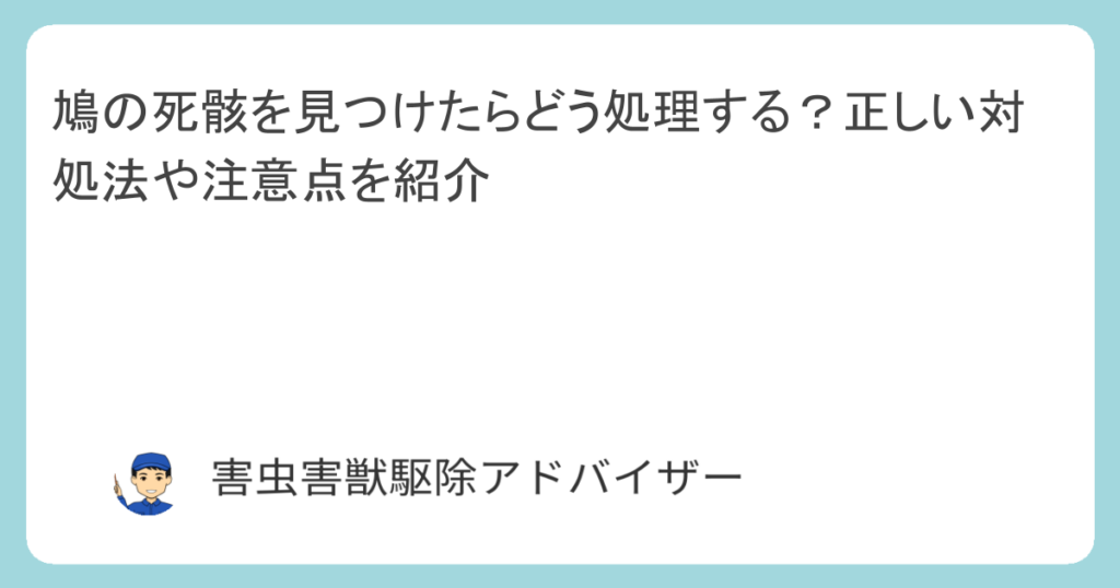 鳩の死骸を見つけたらどう処理する？正しい対処法や注意点を紹介