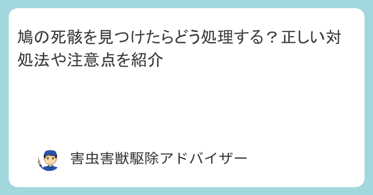 鳩の死骸を見つけたらどう処理する？正しい対処法や注意点を紹介