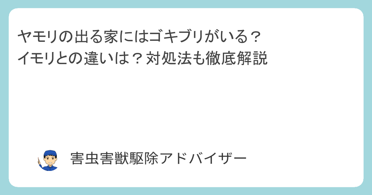 ヤモリの出る家にはゴキブリがいる？イモリとの違いは？対処法も徹底解説