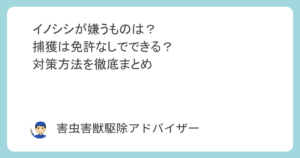 イノシシが嫌うものは？捕獲は免許なしでできる？対策方法を徹底まとめ