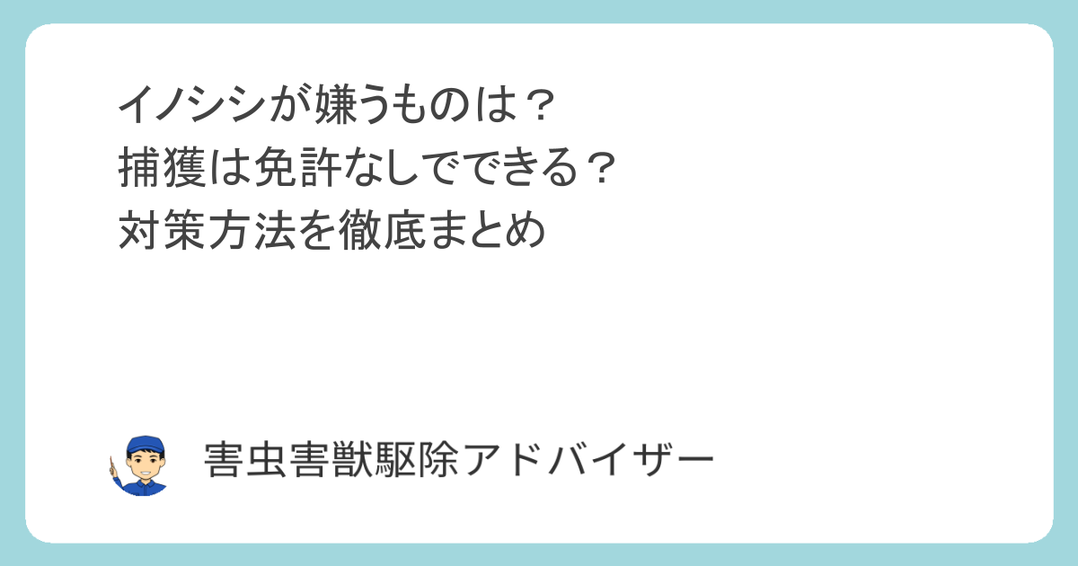 イノシシが嫌うものは？捕獲は免許なしでできる？対策方法を徹底まとめ