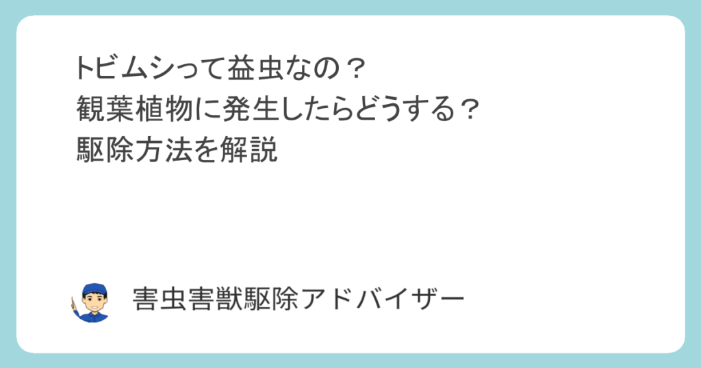 トビムシって益虫なの？観葉植物に発生したらどうする？駆除方法を解説