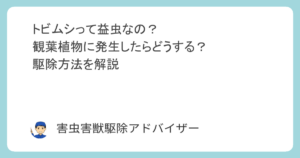 トビムシって益虫なの？観葉植物に発生したらどうする？駆除方法を解説