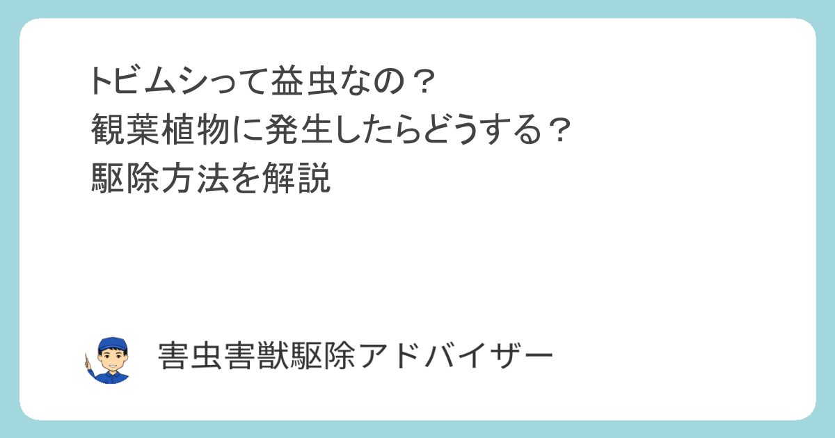 トビムシって益虫なの？観葉植物に発生したらどうする？駆除方法を解説