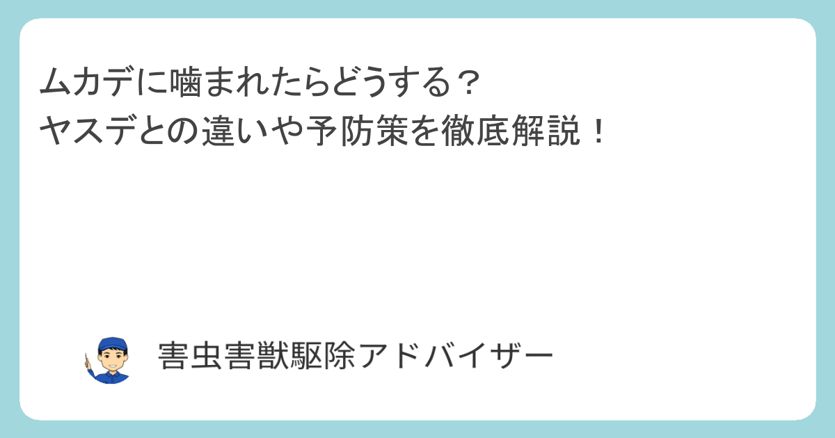 ムカデに噛まれたらどうする？ヤスデとの違いや予防策を徹底解説！