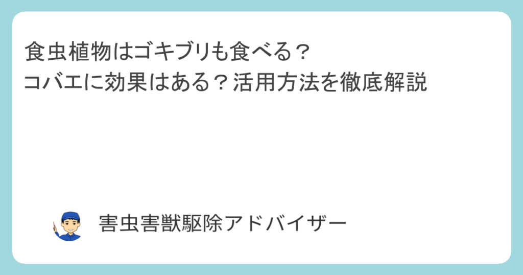 食虫植物はゴキブリも食べる？コバエに効果はある？活用方法を徹底解説