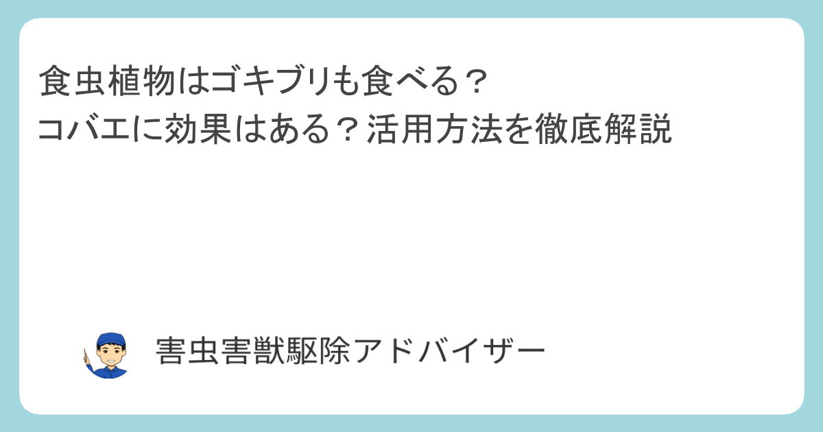 食虫植物はゴキブリも食べる？コバエに効果はある？活用方法を徹底解説