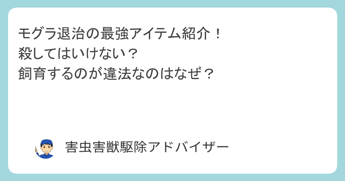 モグラ退治の最強アイテム紹介！ 殺してはいけない？ 飼育するのが違法なのはなぜ？