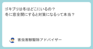 ゴキブリは冬はどこにいるの？冬に窓全開にすると対策になるって本当？