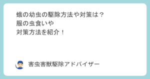 蛾の幼虫の駆除方法や対策は？服の虫食いや対策方法を紹介！