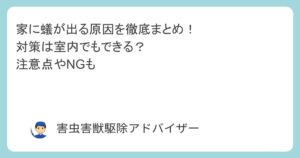 家に蟻が出る原因を徹底まとめ！対策は室内でもできる？注意点やNGも