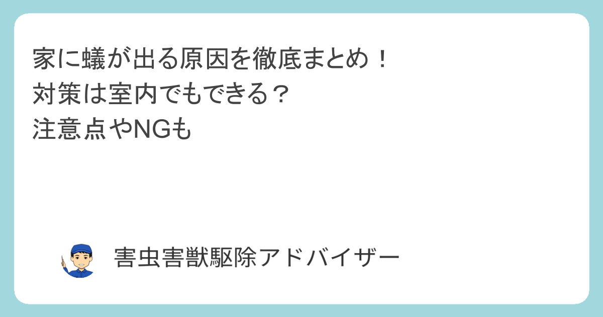 家に蟻が出る原因を徹底まとめ！対策は室内でもできる？注意点やNGも