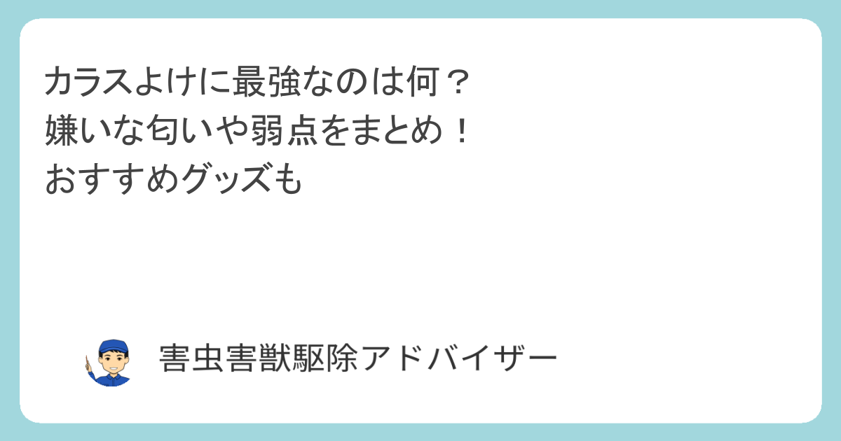 カラスよけに最強なのは何？嫌いな匂いや弱点をまとめ！おすすめグッズも