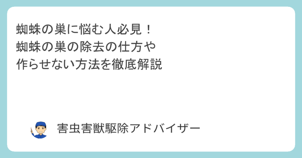 蜘蛛の巣に悩む人必見！蜘蛛の巣の除去の仕方や作らせない方法を徹底解説