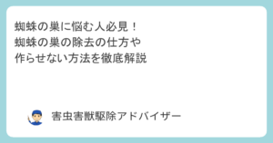 蜘蛛の巣に悩む人必見！蜘蛛の巣の除去の仕方や作らせない方法を徹底解説