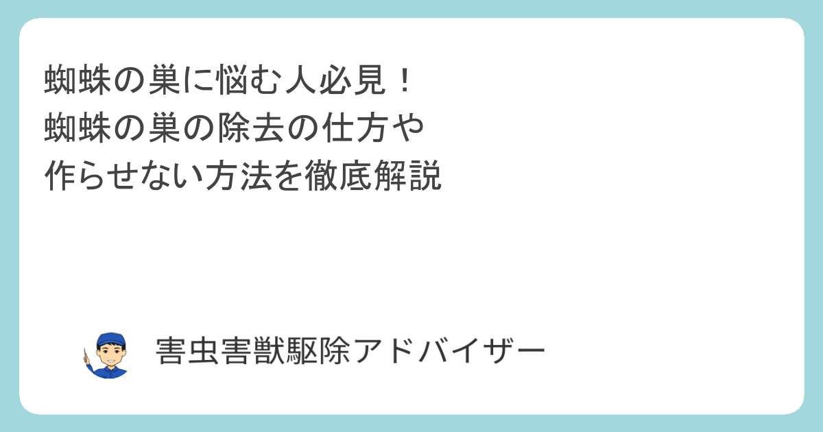 蜘蛛の巣に悩む人必見！蜘蛛の巣の除去の仕方や作らせない方法を徹底解説