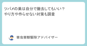 ツバメの巣は自分で撤去してもいい？やり方や作らせない対策も調査
