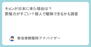 キョンが日本に来た理由は？繁殖力がすごい？個人で駆除できるかも調査
