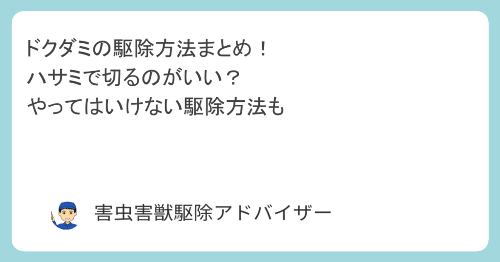 ドクダミの駆除方法まとめ！ハサミで切るのがいい？やってはいけない駆除方法も