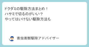 ドクダミの駆除方法まとめ！ハサミで切るのがいい？やってはいけない駆除方法も