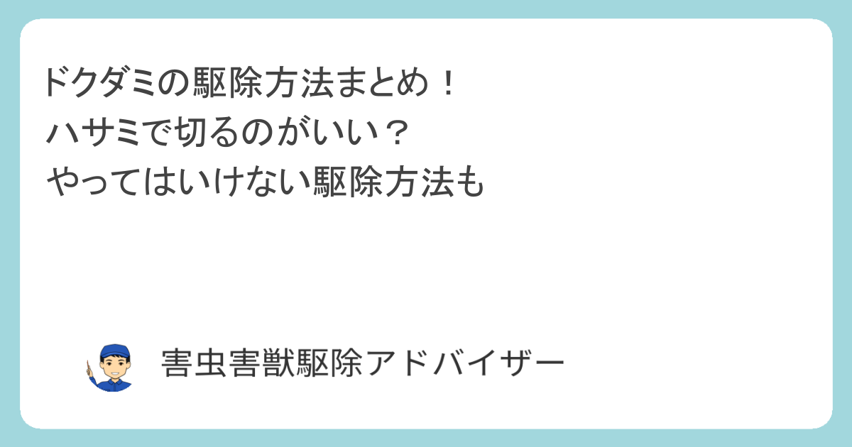 ドクダミの駆除方法まとめ！ハサミで切るのがいい？やってはいけない駆除方法も