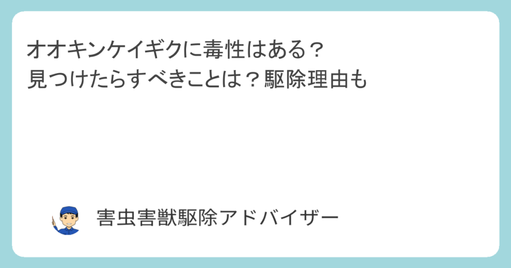 オオキンケイギクに毒性はある？見つけたらすべきことは？駆除理由も