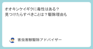 オオキンケイギクに毒性はある？見つけたらすべきことは？駆除理由も