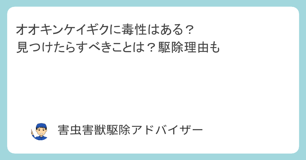 オオキンケイギクに毒性はある？見つけたらすべきことは？駆除理由も